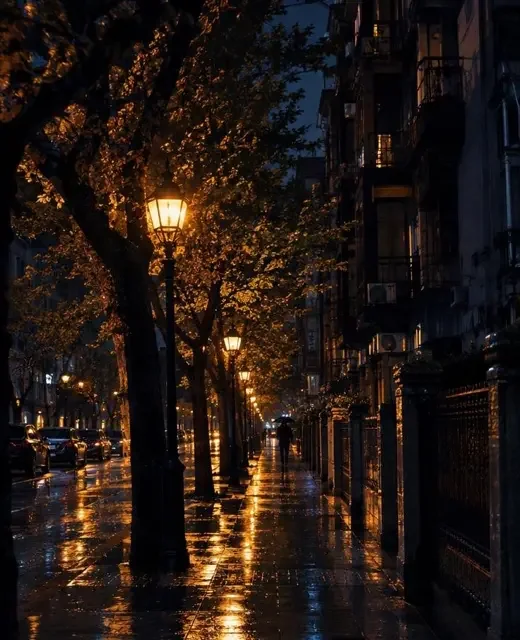 上海 · 梧桐路夜灯 上海城市片单配图,梧桐路夜灯